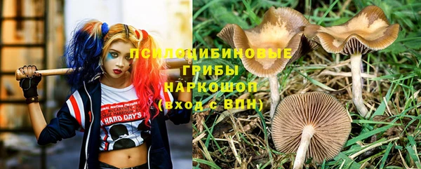 каннабис Алексеевка