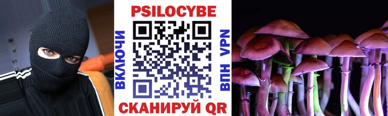 Псилоцибиновые грибы Psilocybe  наркота  Туймазы 
